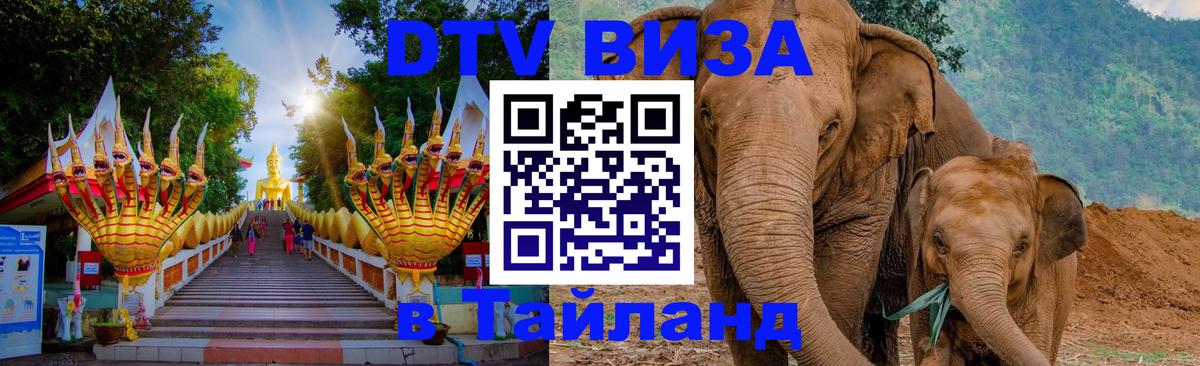 DTV Visa Тайланд купить 